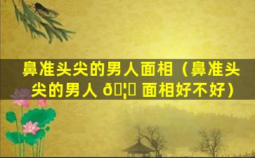 鼻准头尖的男人面相（鼻准头尖的男人 🦆 面相好不好）